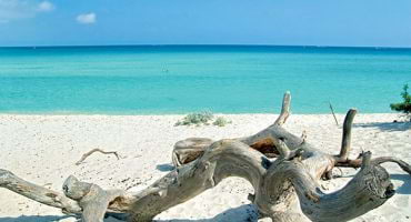 Plage de Saleccia en haute corse