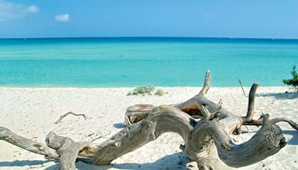 Plage de Saleccia en haute corse