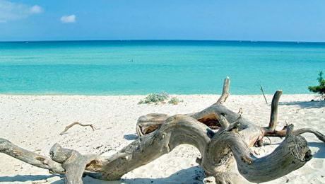 Plage de Saleccia en haute corse