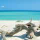 Plage de Saleccia en haute corse