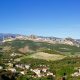 Le village de Patrimonio